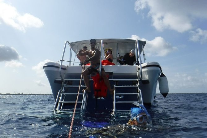 Double Dip Snorkel Trip - Tour Group Size and Accessibility