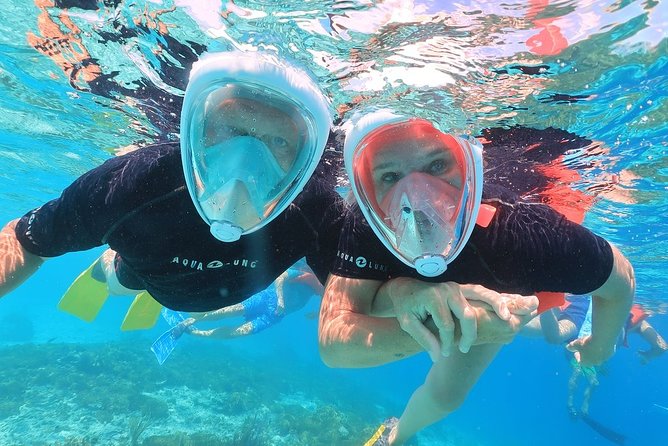 Double Dip Snorkel Trip - Environmental Sustainability Focus