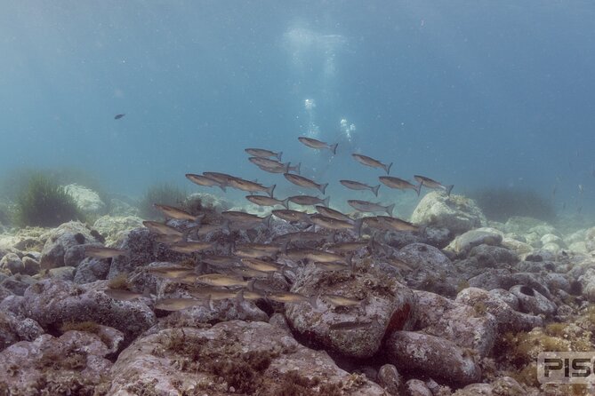 Double Discover Scuba Diving - Location and Meeting Point