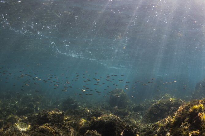 Double Discover Scuba Diving - Schedule and Availability