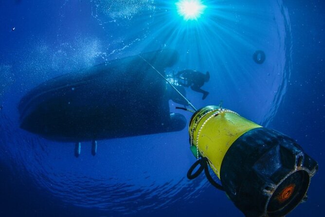 Double Dive Elba Island - Traveler Feedback and Experiences