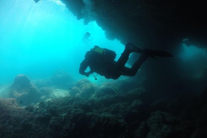 Double Dive in Cascais - Go Further and Go Under! - Convenient Booking and Cancellation