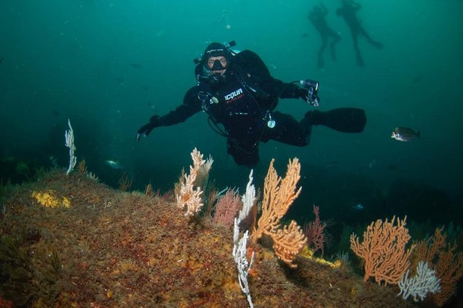 Double Dive in the Algarve. Dont Stop on the Beach! - Key Points