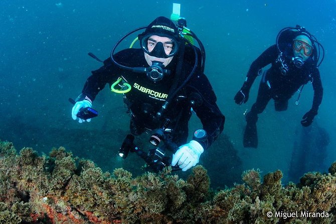 Double Dive in the Algarve. Dont Stop on the Beach! - Dive Into Crystal-Clear Depths