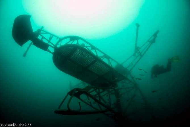 Double Dive the Fantastic Ocean Revival Park - Key Points