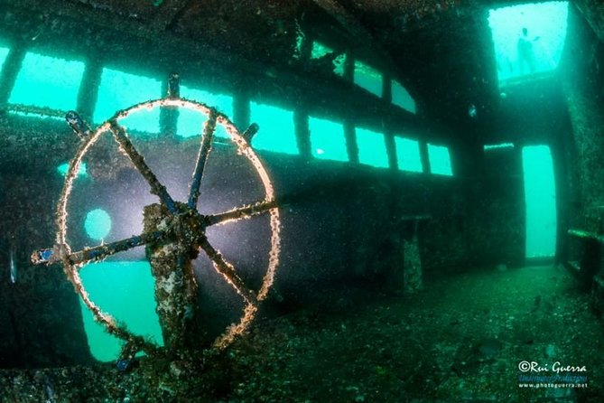 Double Dive the Fantastic Ocean Revival Park - Certification Requirements