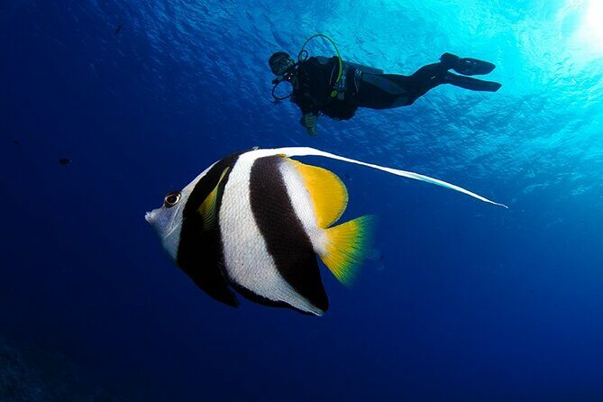 Double Diving Adventure Exploration for Certified Divers - An In-Depth Look at the Tahiti Double Diving Adventure