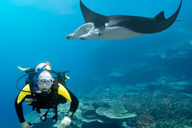 Double Diving in Sal Island - Half Day - Important Considerations for Divers