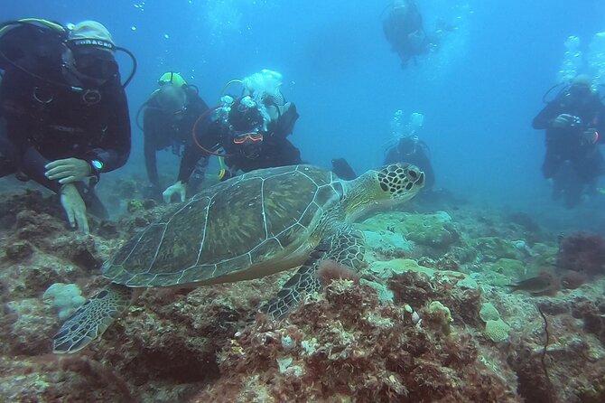 Double Diving in Sal Island - Half Day - Cancellation Policy