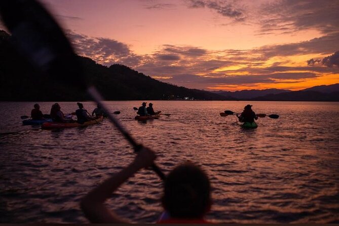 Double Kayak Bioluminescence Tour in Costa Rica - Key Points