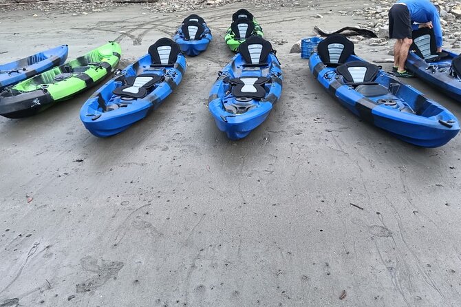 Double Kayak Bioluminescence Tour in Costa Rica - Participant Information