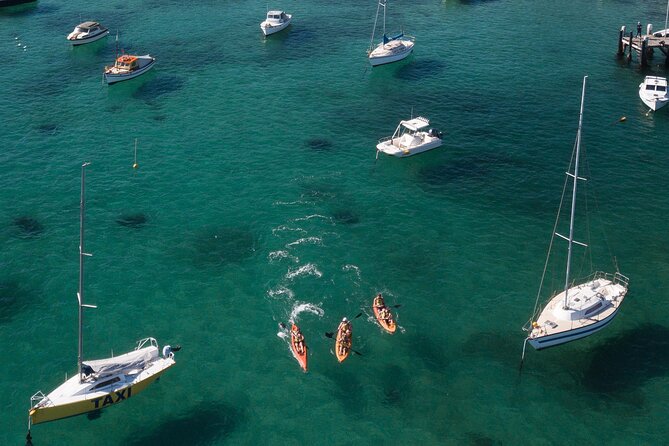 Double Kayak Hire - 4 Hours - Exploring Sydneys North Harbour
