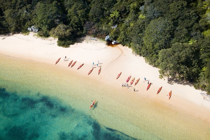 Double Kayak Hire - 4 Hours - Independent Paddling Experience