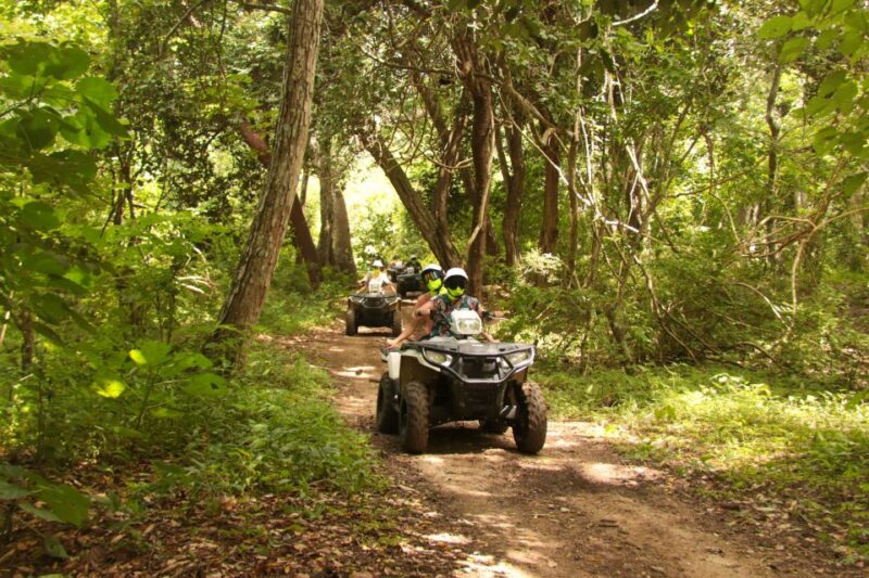 Double or Single Rider ATV Jungle Tour - Key Points