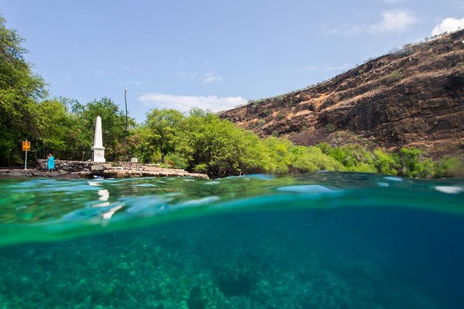 Double Reef Snorkel, Dolphin & BBQ - Snorkeling Experiences