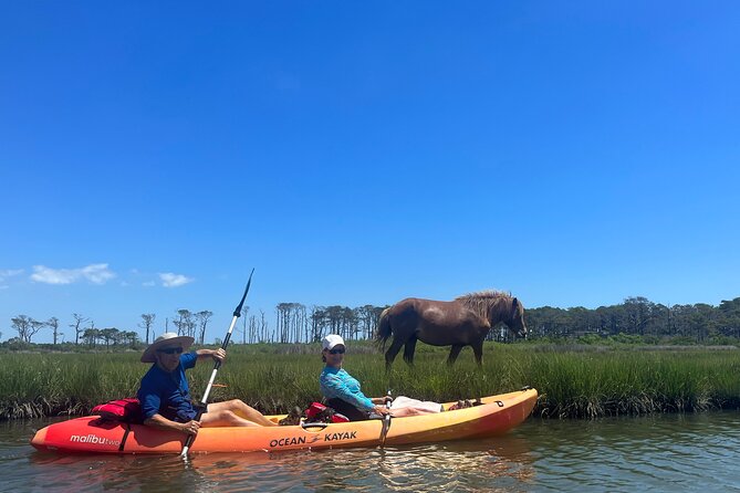 Double Sit on Top Kayak Rental at Assateague Island, MD - Pricing and Booking Information