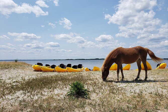 Double Sit on Top Kayak Rental at Assateague Island, MD - Tips for an Enjoyable Kayaking Experience