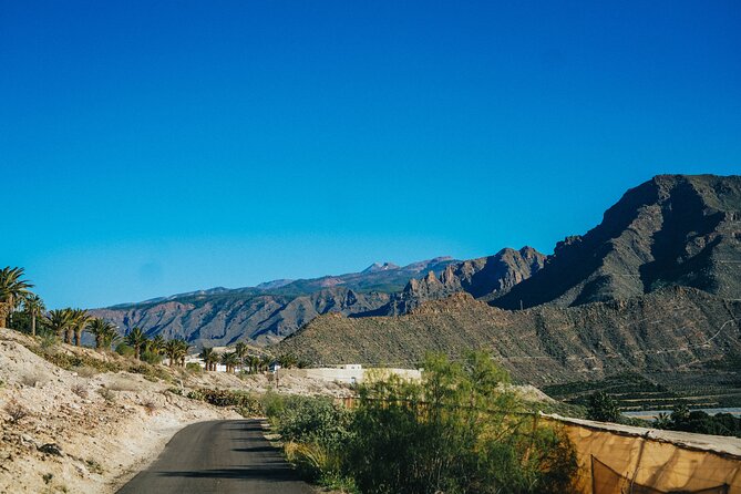 Double Tuk Tuk Tour in Costa Adeje - Tour Inclusions
