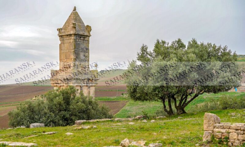 Dougga & Bulla Regia Private Full-Day Tour With Lunch - Discovering Bulla Regia