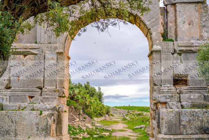 Dougga & Bulla Regia Private Full-Day Tour With Lunch - Frequently Asked Questions