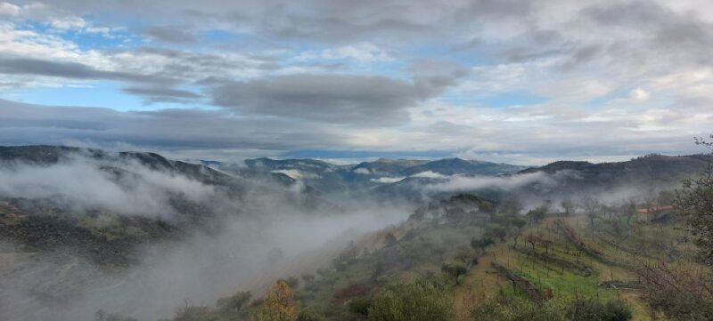 Douro 4x4: Visit to the Past With Wine Tasting - Included in the Tour