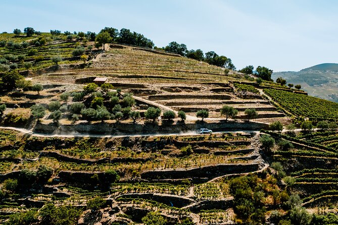 Douro Adventure - Tour 4x4 | Full Day Private Tour | All Included - Customer Reviews