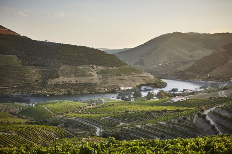 Douro and Port Tasting Quinta Do Bomfim - Tasting Experience