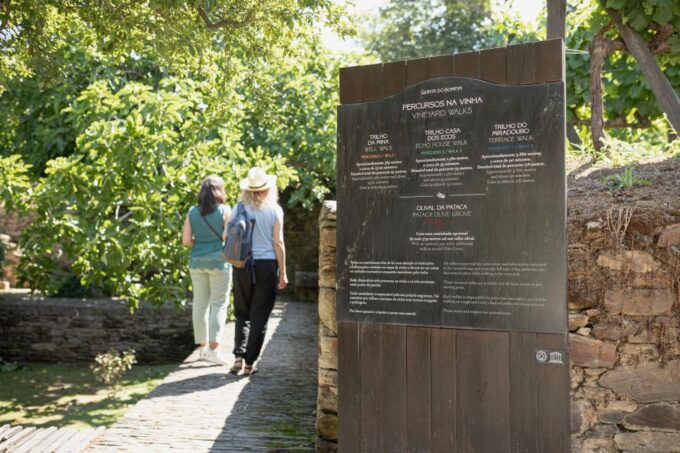 Douro and Port Tasting Quinta Do Bomfim - Reserve and Cancellation Policy