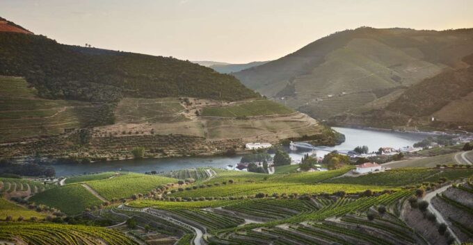 Douro and Port Tasting Quinta Do Bomfim - Reserve and Cancellation Policy