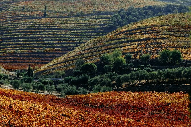 Douro Classic Sightseeing Full-Day Private Tour - Scenic Drive