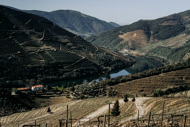 Douro Classic Sightseeing Full-Day Private Tour - Boat Ride Along Douro River
