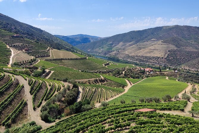 Douro Classic Sightseeing Full-Day Private Tour - Cultural Tour Option