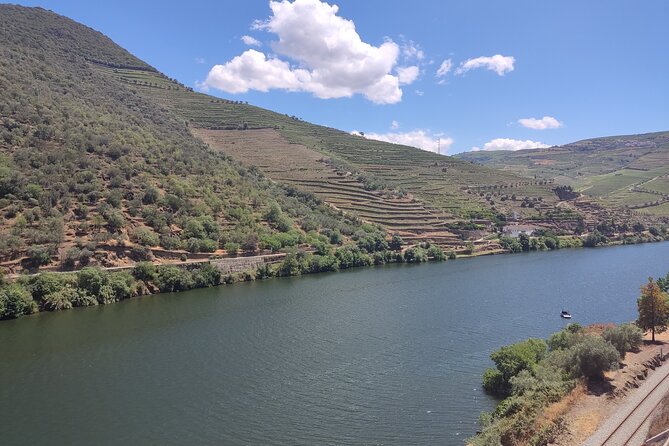 Douro Classic Sightseeing Full-Day Private Tour - Booking Details