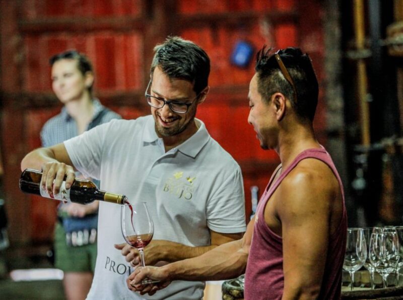 Douro: Classic Wine Tasting With Guided Tour - Tasting Experience