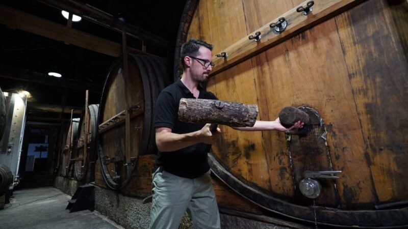 Douro: Classic Wine Tasting With Guided Tour - Tour Itinerary