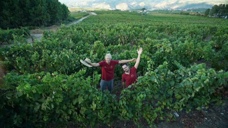 Douro: Classic Wine Tasting With Guided Tour - Participant Details