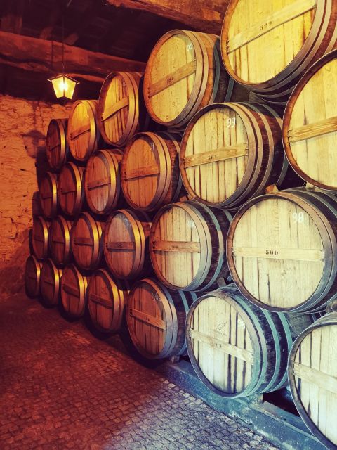 Douro Exclusive: The Full Tour! - Additional Services and Accessibility