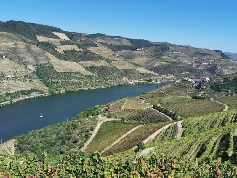 Douro Exclusive: Tour Approaching - Itinerary Highlights