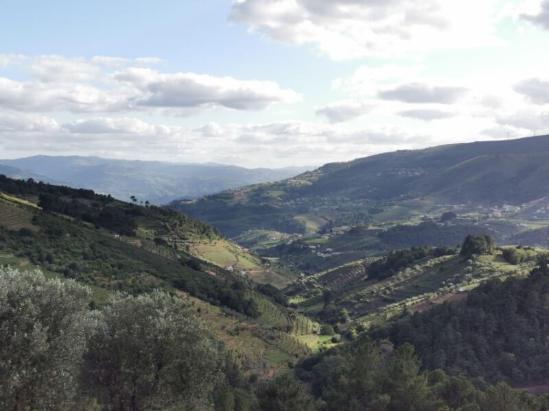 Douro Exclusive: Tour Approaching - Exclusive Experiences