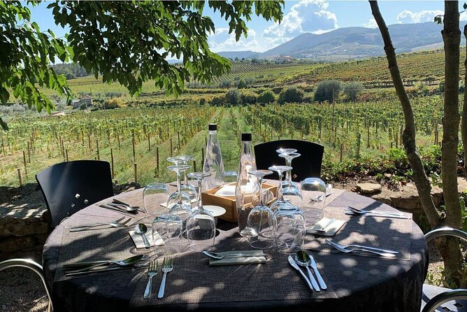 Douro Full Day Tour With Wine Tasting and Lunch - Transportation Details