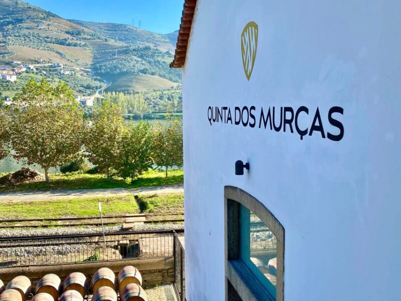 Douro: Luxury Tour With Train, Walking, Lunch and Wines - Walking/Hiking