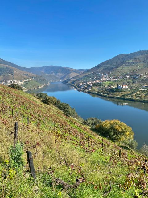 Douro: Luxury Tour With Train, Walking, Lunch and Wines - Guided Tour