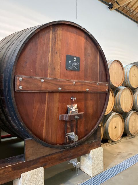 Douro: Luxury Tour With Train, Walking, Lunch and Wines - Experience Highlights
