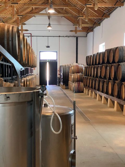 Douro: Luxury Tour With Train, Walking, Lunch and Wines - Frequently Asked Questions