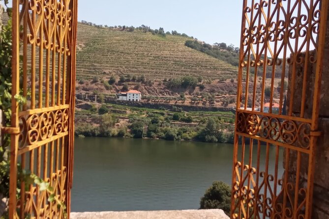 Douro: Luxury Walking Tour With Full Lunch at Quinta Da Pacheca - Experience Highlights