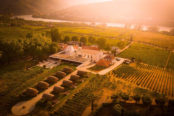 Douro: Luxury Walking Tour With Full Lunch at Quinta Da Pacheca - Reviews and Feedback