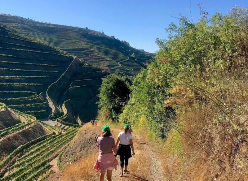 Douro: Luxury Walking With Full Lunch at Quinta Do Portal - Itinerary