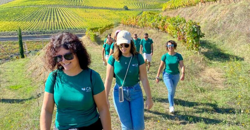 Douro: Luxury Walking With Full Lunch at Quinta Do Portal - Full Description