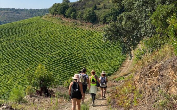 Douro: Luxury Walking With Full Lunch at Quinta Do Portal - Duration and Languages