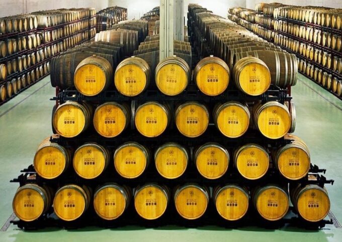 Douro: Luxury Walking With Full Lunch at Quinta Do Portal - Main Stops and Activities